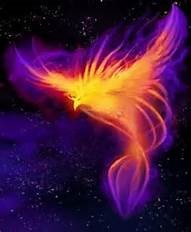 Picture of Phoenix Picture of Phoenix