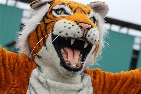Granite Falls High School Tiger